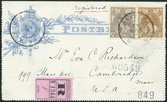 Lot 1917
