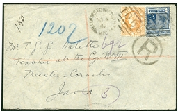 Lot 1365