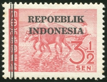 Lot 1559