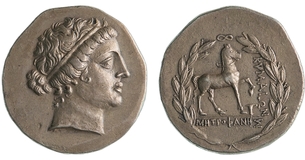 Lot 7