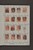 Lot 2437 (33)