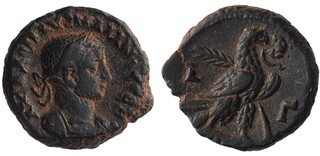 Lot 15
