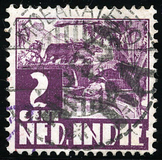 Lot 1657