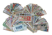 Kavel 1892 (2)