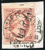 Lot 1189