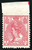 Lot 1338