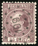 Lot 1556