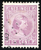 Lot 1811