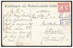 Lot 1919
