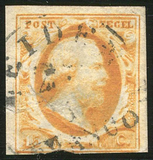 Lot 974