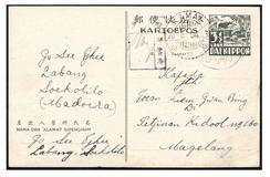 Kavel 1146