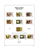 Kavel 1521 (13)