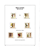 Kavel 1521 (15)