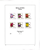 Kavel 1522 (11)