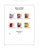 Kavel 1523 (17)