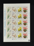 Kavel 1626