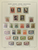 Kavel 175 (19)