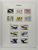 Kavel 1812 (9)