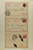 Kavel 1888 (47)