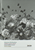 Kavel 191 (27)