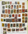 Kavel 198 (11)