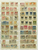 Kavel 200 (21)