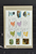 Kavel 241 (30)