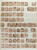 Kavel 255 (27)
