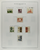 Kavel 264 (36)