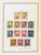 Kavel 271 (25)