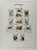 Kavel 334 (83)