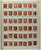Kavel 354 (16)
