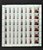 Kavel 358 (125)