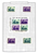 Kavel 359 (294)