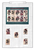 Kavel 359 (304)