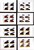 Kavel 359 (51)