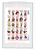 Kavel 359 (98)