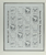 Kavel 39 (42)