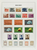 Kavel 64 (12)