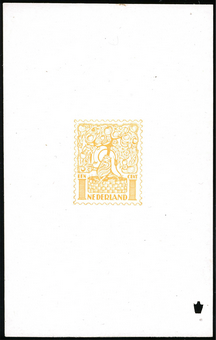 Kavel 894